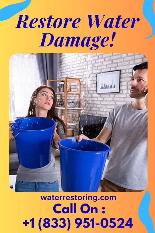 water restoration Water Damage Group Welcome