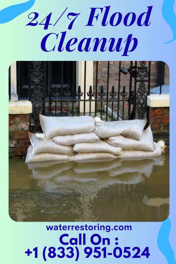 24/7 Flood Cleanup in Welcome, SC
